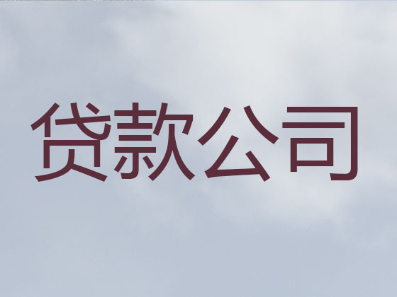 兴仁市抵押贷款公司-银行信用贷款